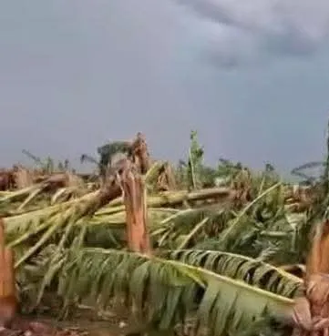 FB_IMG_1768083601835 (1)