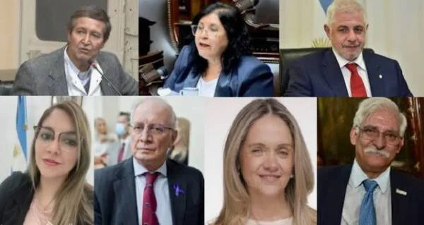 diputados-nacionales-saltenos